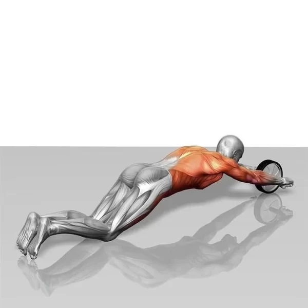 Rola pentru abdomene ideala pentru definirea musculaturii AB WHEEL ( Fitness și sport ) - imagine 10