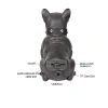 Boxa Portabila Bulldog NEGRU Cu Bluetooth CH M11M Cititor USB Card Radio si microfon - imagine 3