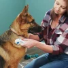 Pieptene electric pentru inlaturarea puricilor pentru caini si pisici. - imagine 4